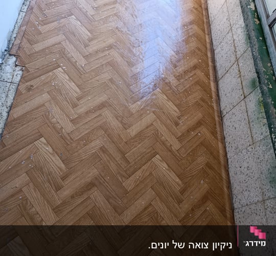 רצפת פרקט נקייה ומבריקה ליד קיר